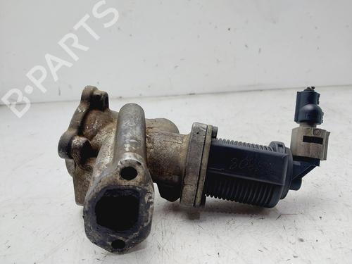 Egr FIAT DOBLO MPV (119_, 223_) 1.3 JTD 16V | BP28110382M69 