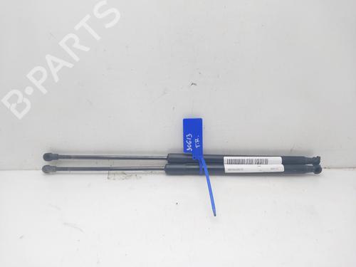 Used Tailgate lift support NISSAN QASHQAI / QASHQAI +2 I (J10, NJ10, JJ10E) 2.0 dCi (150 hp) 14007772
