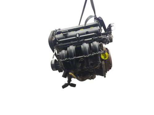 Used Engine FORD FIESTA VI (CB1, CCN) [2008-2017]  24586070