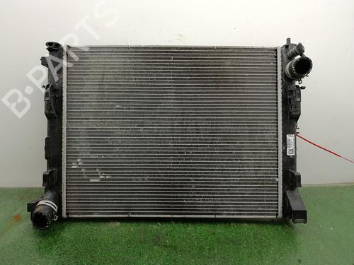 Used Water radiator Water radiator NISSAN JUKE (F16_) [2019-2026] 39908993 39908993