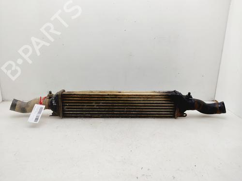 Used Intercooler FIAT DOBLO Cargo (263_) 1.3 D Multijet (90 hp) 25938097