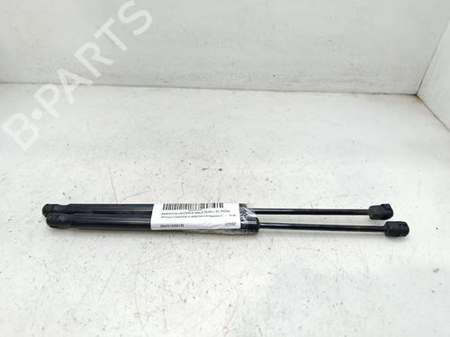 tailgate-lift-support-renault-megane-iii-hatchback-bz01_-b3_-2008-39236656 main image