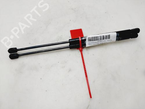 Gassdemper Bakluke RENAULT CLIO II (BB_, CB_) [1998-2016]  27090916