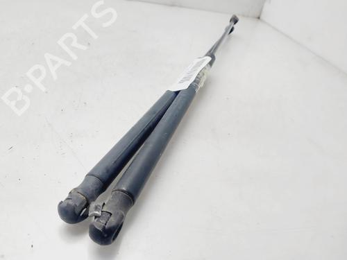 Gassdemper Bakluke FORD C-MAX (DM2) [2007-2010]  20848415