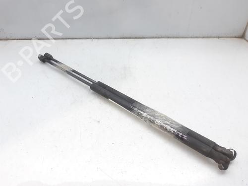 Gassdemper Bakluke FORD FUSION (JU_) 1.4 TDCi (68 hp) 14002980