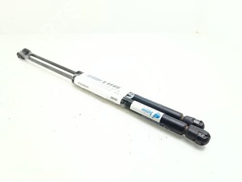 Used Tailgate lift support RENAULT CLIO III (BR0/1, CR0/1) 1.4 16V (98 hp) 28092969