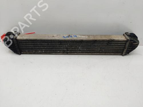 Intercooler MERCEDES-BENZ A-CLASS (W169) A 160 CDI (169.006, 169.306) | BP21262655M30 