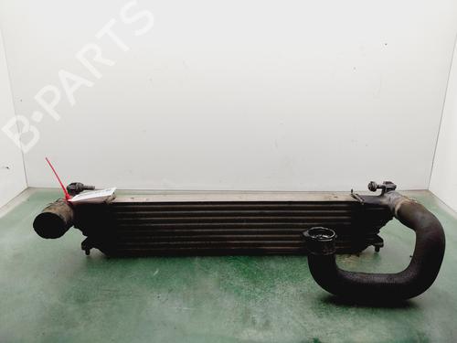 Intercooler Intercooler FIAT 500L (351_, 352_) [2012-2026] 33630326 33630326