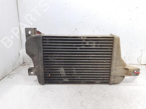 Intercooler TATA SAFARI (42_FD)  | BP12440526M30 