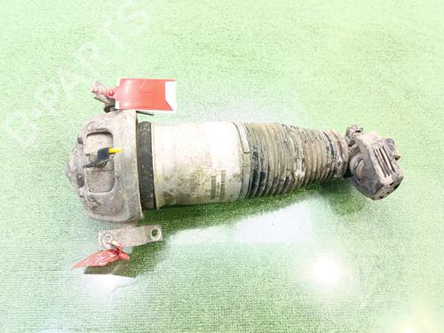 Right rear shock absorber PORSCHE CAYENNE (9PA) Turbo 4.5 | BP30795801M19 