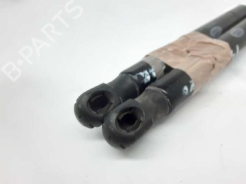 Hood lift support LAND ROVER RANGE ROVER EVOQUE (L538) 2.2 D | BP13994808C139 