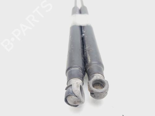 Tailgate lift support OPEL MERIVA B MPV (S10)  | BP29719299C138 