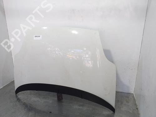 Hood FIAT GRANDE PUNTO (199_) 1.4 (199AXB11, 199AXB1A, 199BXB1A, 199AXL1A) | BP17066998C1