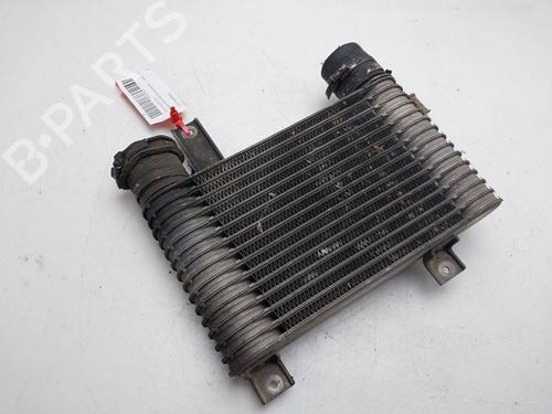 Intercooler SSANGYONG REXTON / REXTON II (GAB_) 2.9 TD | BP39048491M30 - Image 2