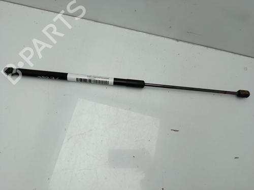 hood-lift-support-dacia-duster-hs_-2010-2011-2012-2013-2014-2015-2016-2017-2018-34509720 main image