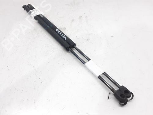 Used Tailgate lift support RENAULT SCÉNIC II (JM0/1_) 1.9 dCi (JM0G, JM12, JM1G, JM2C) (120 hp) 13999739