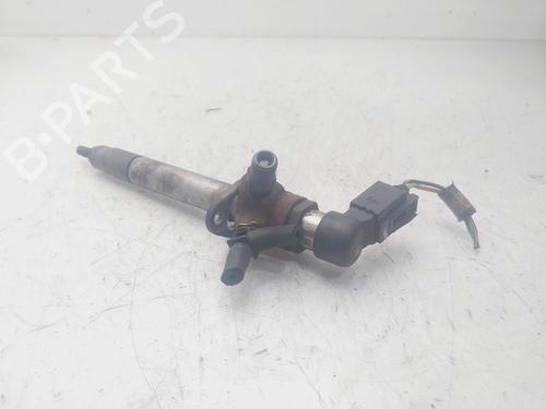 Injector LAND ROVER RANGE ROVER SPORT I (L320)  | BP29452495M100 