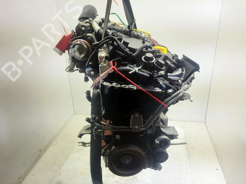 Engine RENAULT KANGOO III MPV  | BP30966675M1 