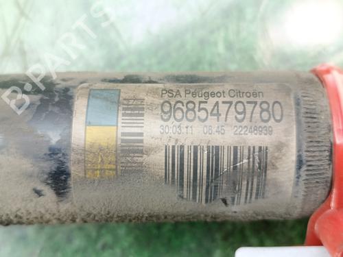 Left rear shock absorber CITROËN C3 II (SC_)  | BP29815610M18