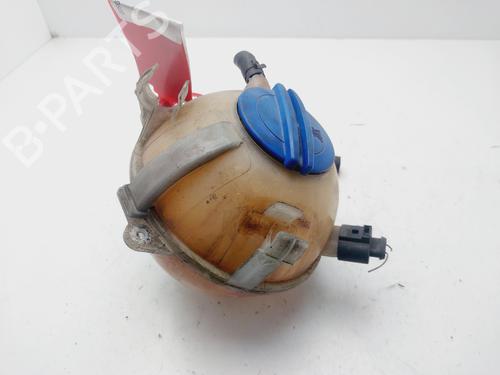 Used Expansion tank SKODA OCTAVIA II (1Z3) 1.6 TDI (105 hp) 29448628