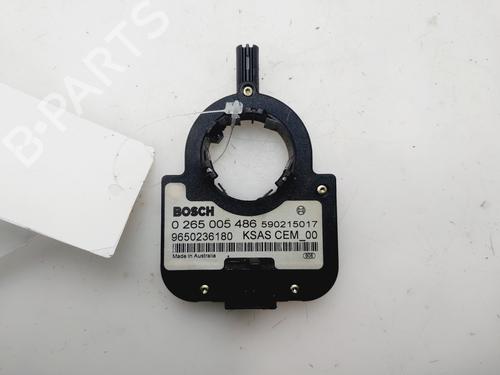 Elektronische sonde CITROËN C4 I (LC_) [2004-2014]  30659050