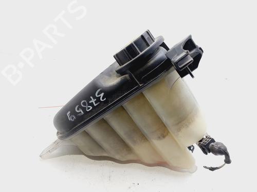Expansion tank JAGUAR XF I (X250)  | BP25469849C120