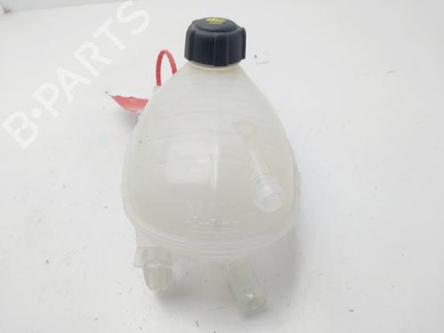 Expansion tank DACIA SANDERO III  | BP29390863C120 