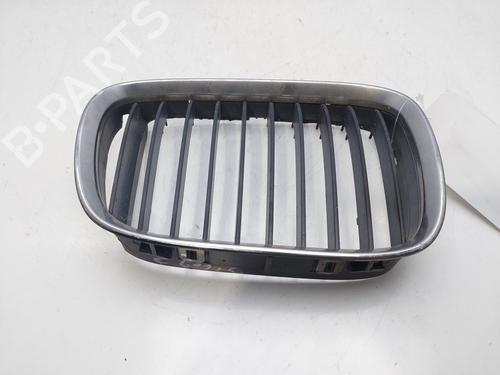 Grill BMW 5 (E39) 530 d (193 hp) 13927669