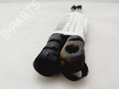 Tailgate lift support AUDI A6 C5 (4B2)  | BP26954923C138 