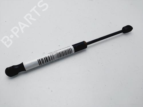 Hood lift support LAND ROVER RANGE ROVER EVOQUE (L538)  | BP25880295C139 