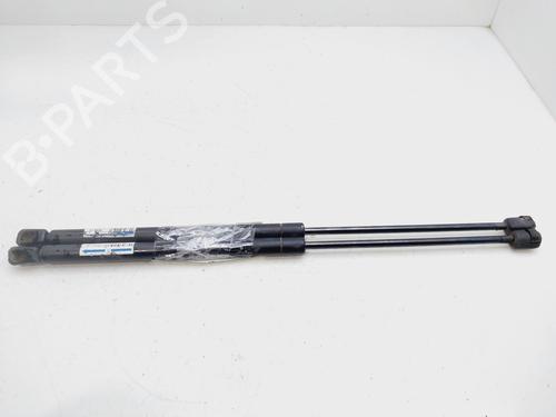 Tailgate lift support SEAT LEON (1M1)  | BP25735057C138 