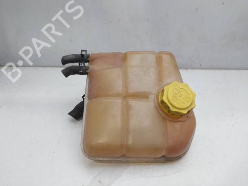 Used Expansion tank FORD TOURNEO CONNECT 1.8 TDCi (110 hp) 16110433