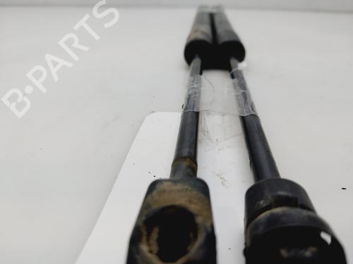 Tailgate lift support OPEL MERIVA B MPV (S10)  | BP29719298C138 