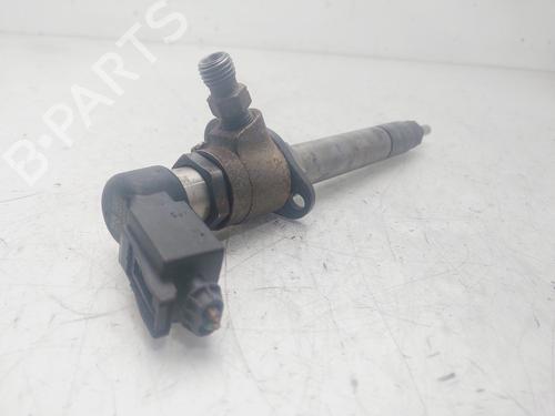 Injector LAND ROVER DISCOVERY III (L319) 2.7 TD 4x4 | BP29479794M100 