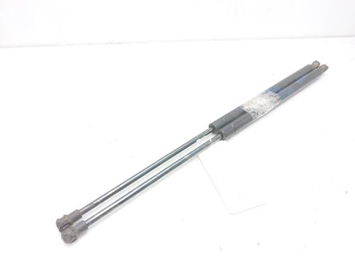 Used Tailgate lift support NISSAN X-TRAIL I (T30) [2001-2013]  14007731