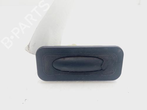 Used Tailgate handle RENAULT CLIO III (BR0/1, CR0/1) [2005-2014]  28091997