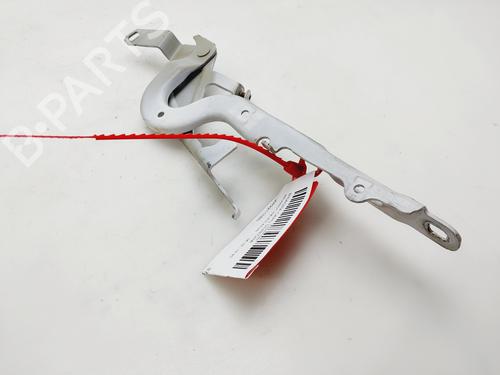 Used Hinge/Door check strap PEUGEOT 208 II (UB_, UP_, UW_, UJ_) [2019-2025]  30089426
