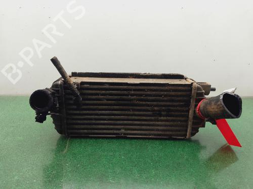 Intercooler KIA CARENS IV [2013-2025]  29714403