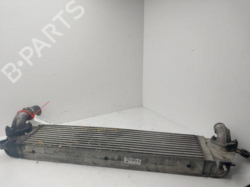 Intercooler NISSAN QASHQAI I (J10, NJ10) [2006-2015]  32256248