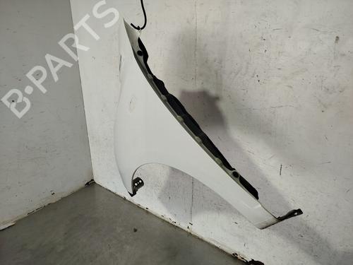 Left front fenders HYUNDAI i10 I (PA) 1.1 | BP30271657C41 