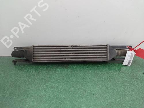 Used Intercooler Intercooler FIAT GRANDE PUNTO (199_) 1.3 D Multijet (75 hp) 40077359 40077359