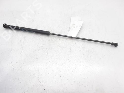Gassdemper Bakluke CITROËN C4 I (LC_) [2004-2014]  13997883