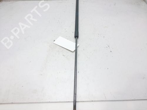 Hood lift support VW PASSAT B6 (3C2)  | BP14007413C139 