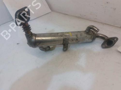 Egr OPEL ASTRA H (A04) 1.7 CDTI (L48) | BP13991262M69 