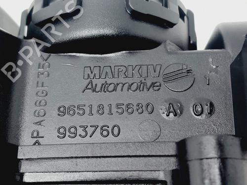 Valve cover FORD FOCUS C-MAX (DM2)  | BP29169951M124 