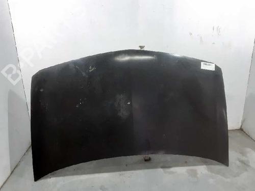 Used Hood RENAULT MEGANE II (BM0/1_, CM0/1_) 1.9 dCi (BM0G, CM0G) (120 hp) 6916199