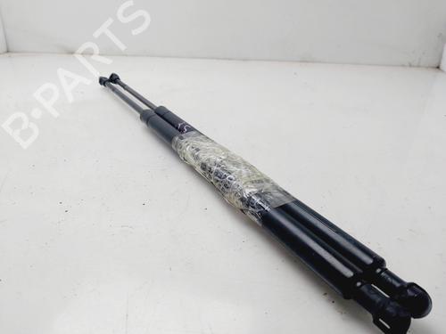 Tailgate lift support BMW X5 (E53) 3.0 d | BP20304818C138 