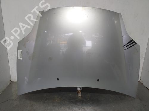 Used Hood FIAT BRAVO II (198_) 1.9 D Multijet (198AXB1A) (120 hp) 21132649