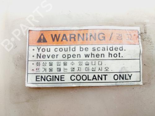 Ekspansjonstank DAEWOO EVANDA (KLAL) 2.0 | BP30660593C120 