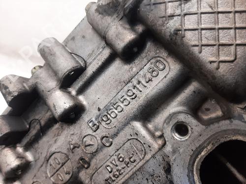 Cylinder head FORD FOCUS C-MAX (DM2) | BP36233319M5 - Image 5